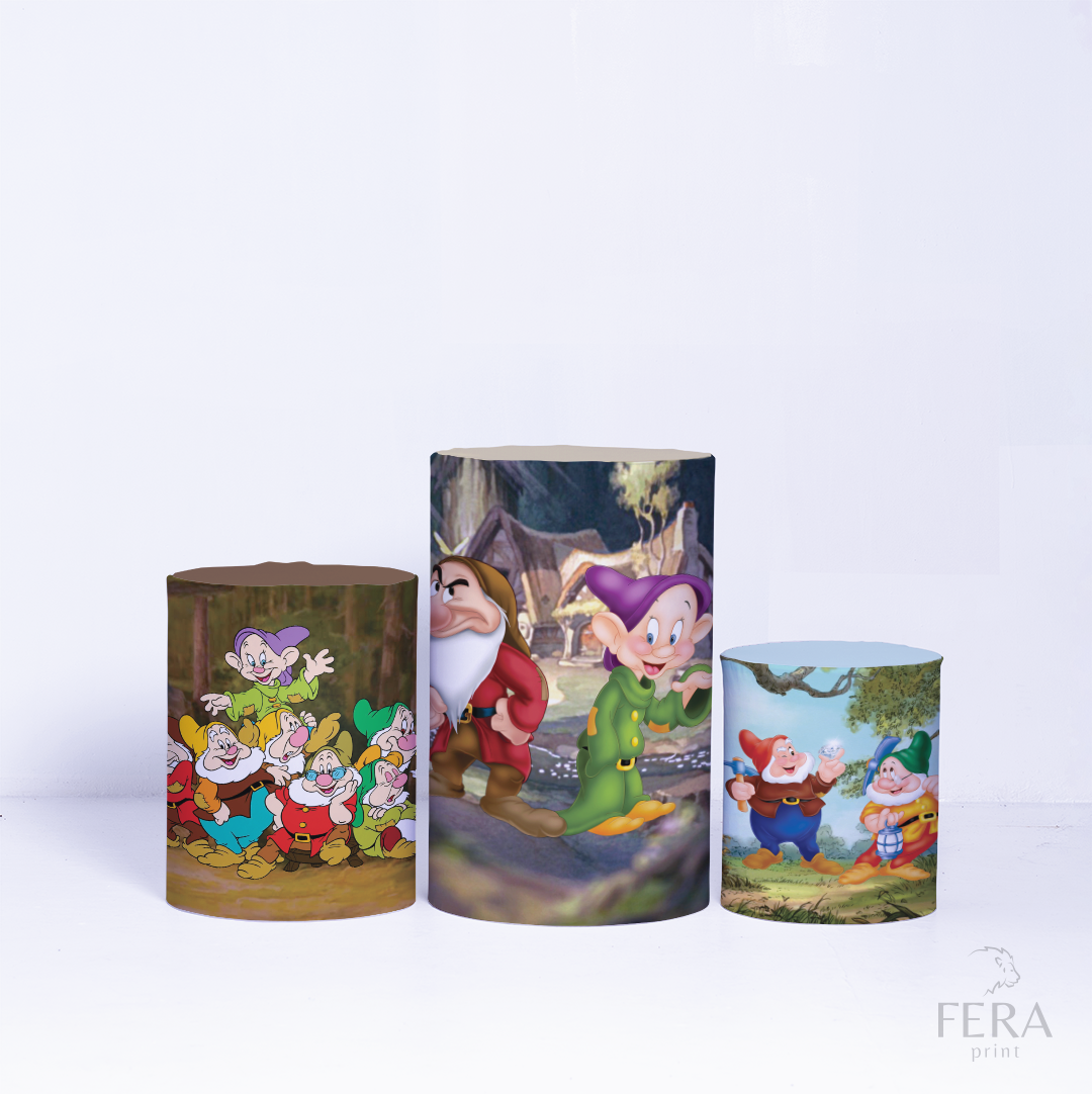 Kit Capa Cilindros + Capa Painel Princesa Branca Sublimado