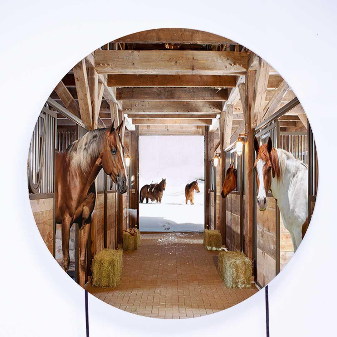 Painel Redondo Cavalo Sublimado