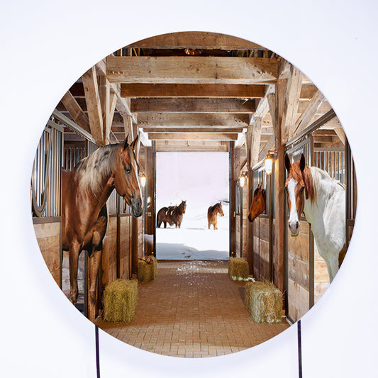 Painel Redondo Cavalo Sublimado