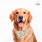 Bandana Sublimada para Pet Shop