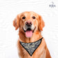 Bandana Sublimada para Pet Shop