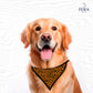 Bandana Sublimada para Pet Shop