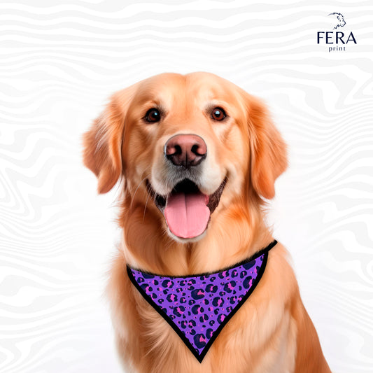 Bandana Sublimada para Pet Shop