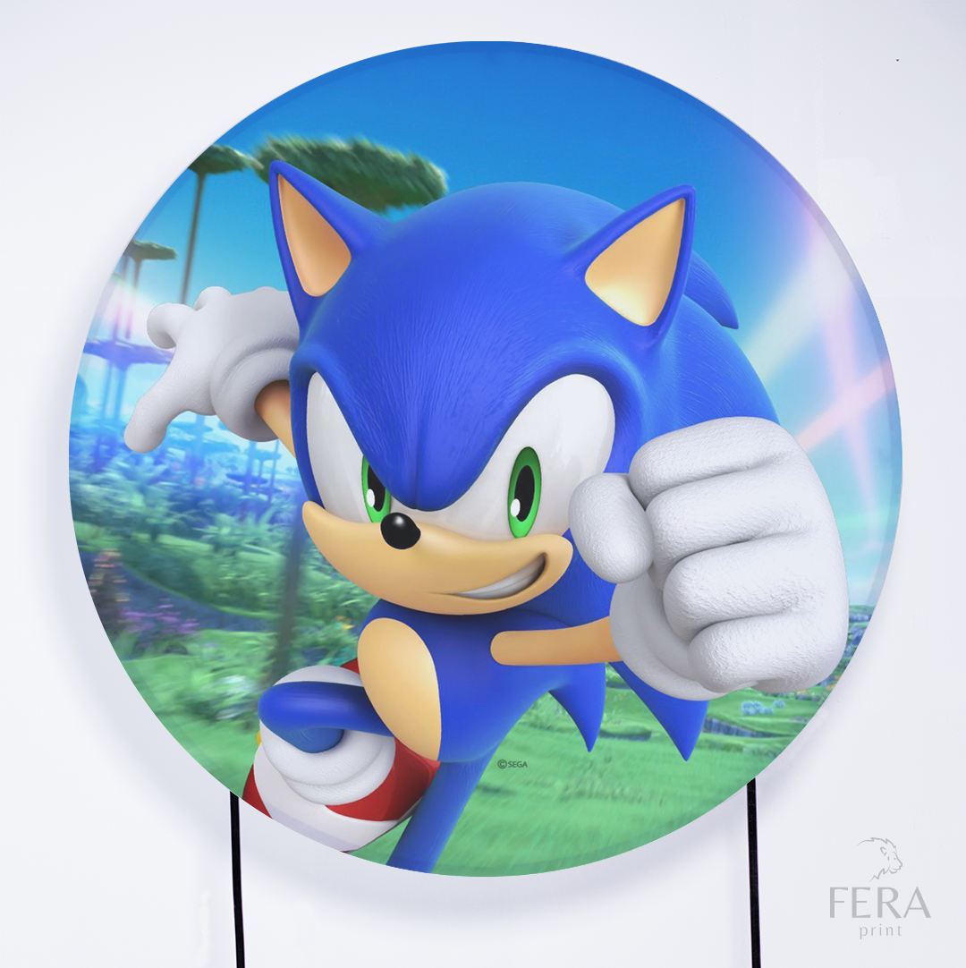 Painel Redondo Ouriço Raios Sublimado